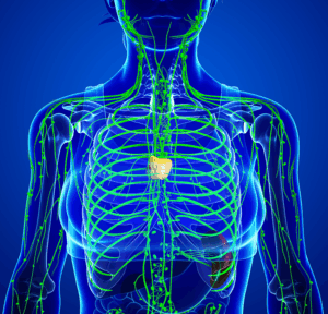 What is Lymph Tonic?